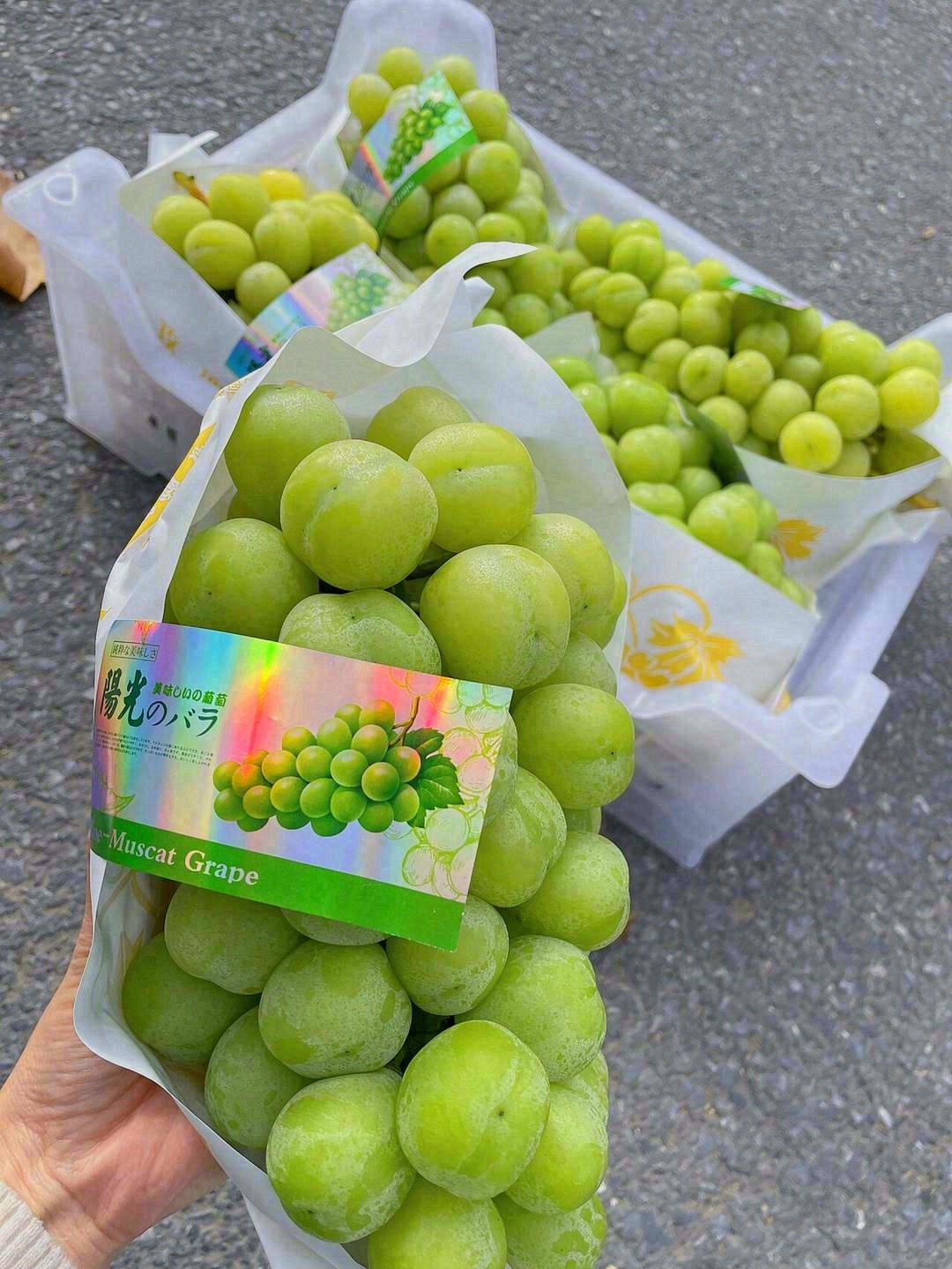 🍇所有写甜的文案～都不配不上它——特级阳 配图1