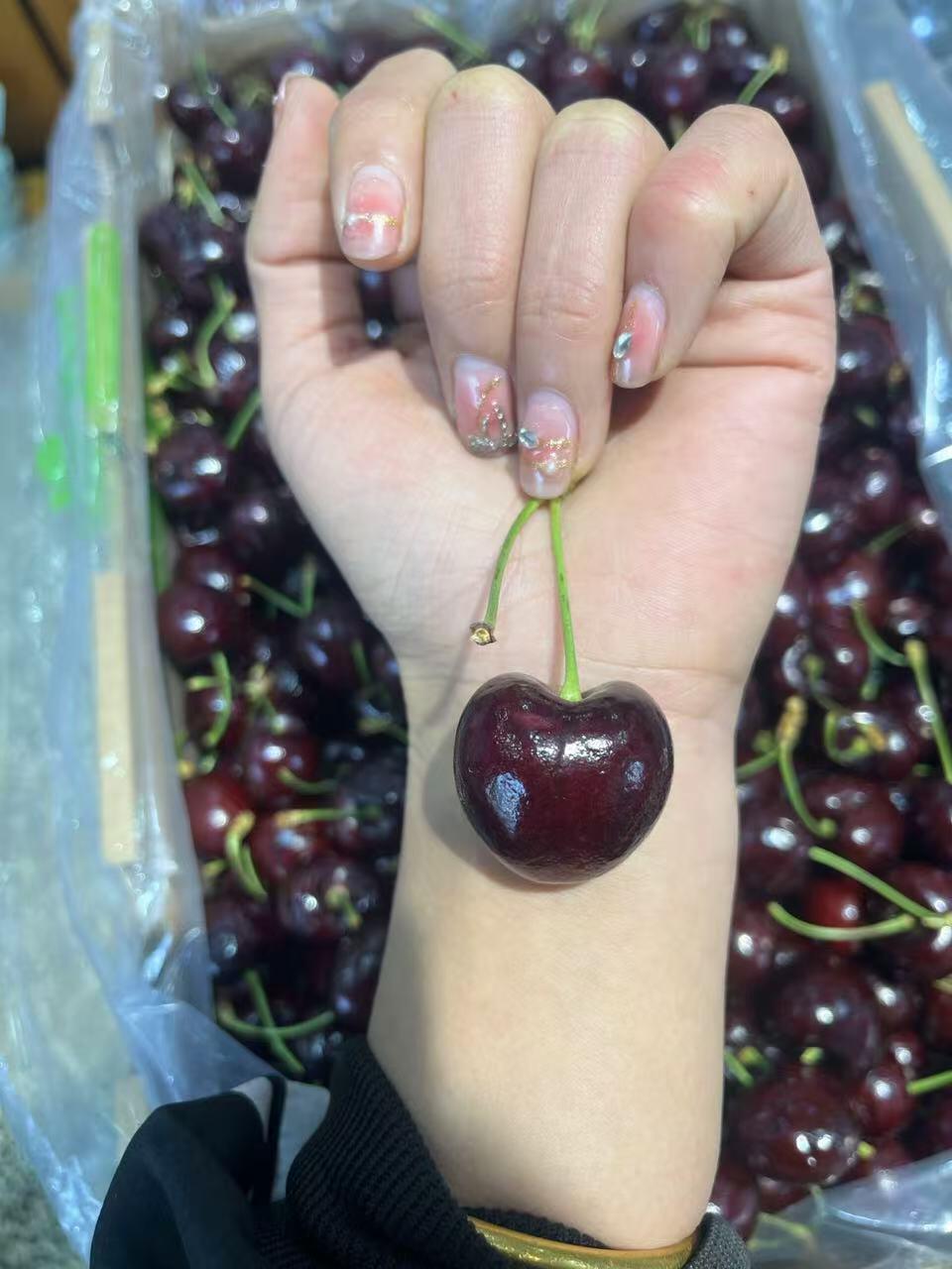 🍃 车厘子桑缇娜🍒一款全家人都喜爱的水果 配图1