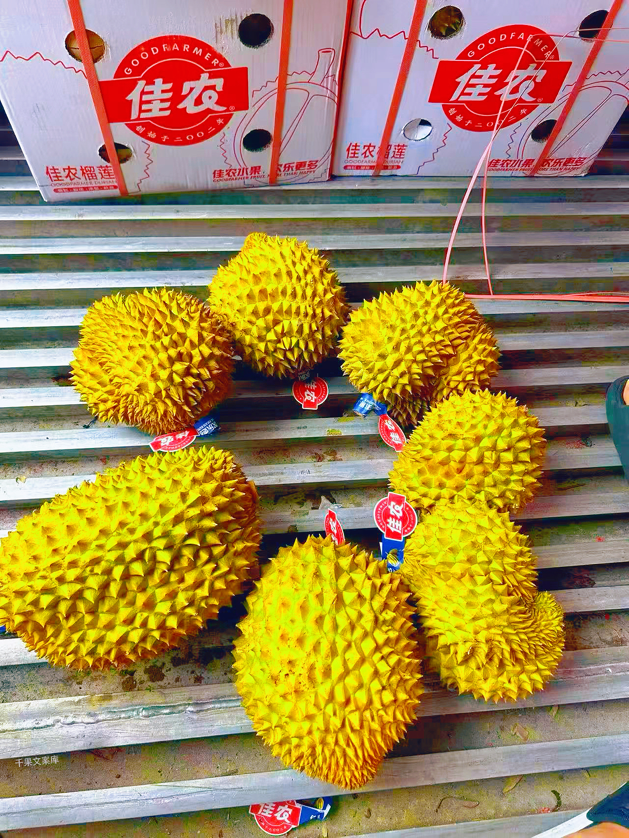 “佳农榴莲王者来袭👑 每一口都是绵密到心 配图2