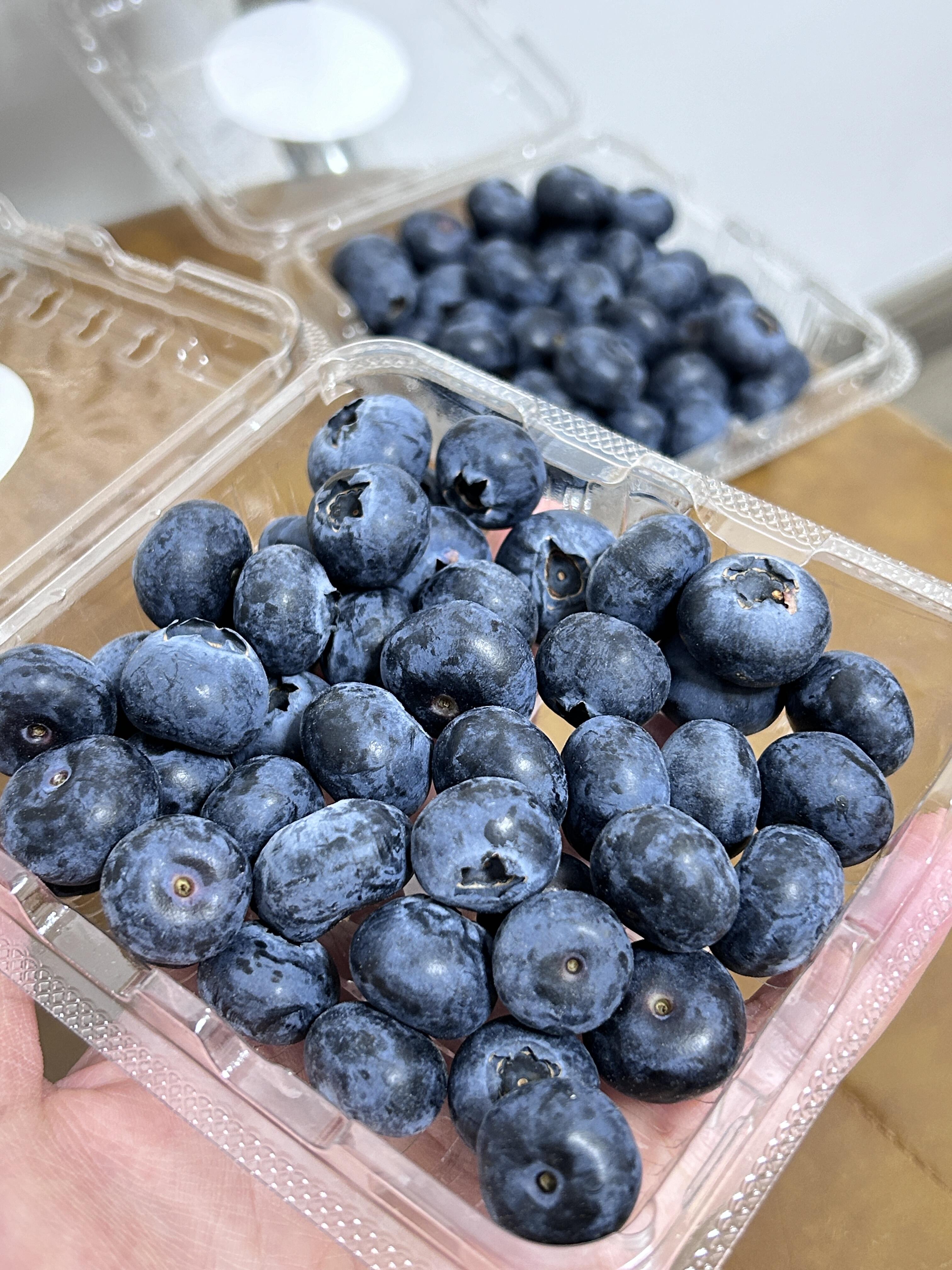 🫐 蓝莓！ 💙 云南露天，果粉满满 ✨  配图2