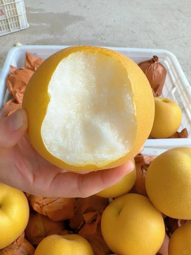 秋月梨🍐上架✔️ 🍂在干燥的秋天，面对这 配图1