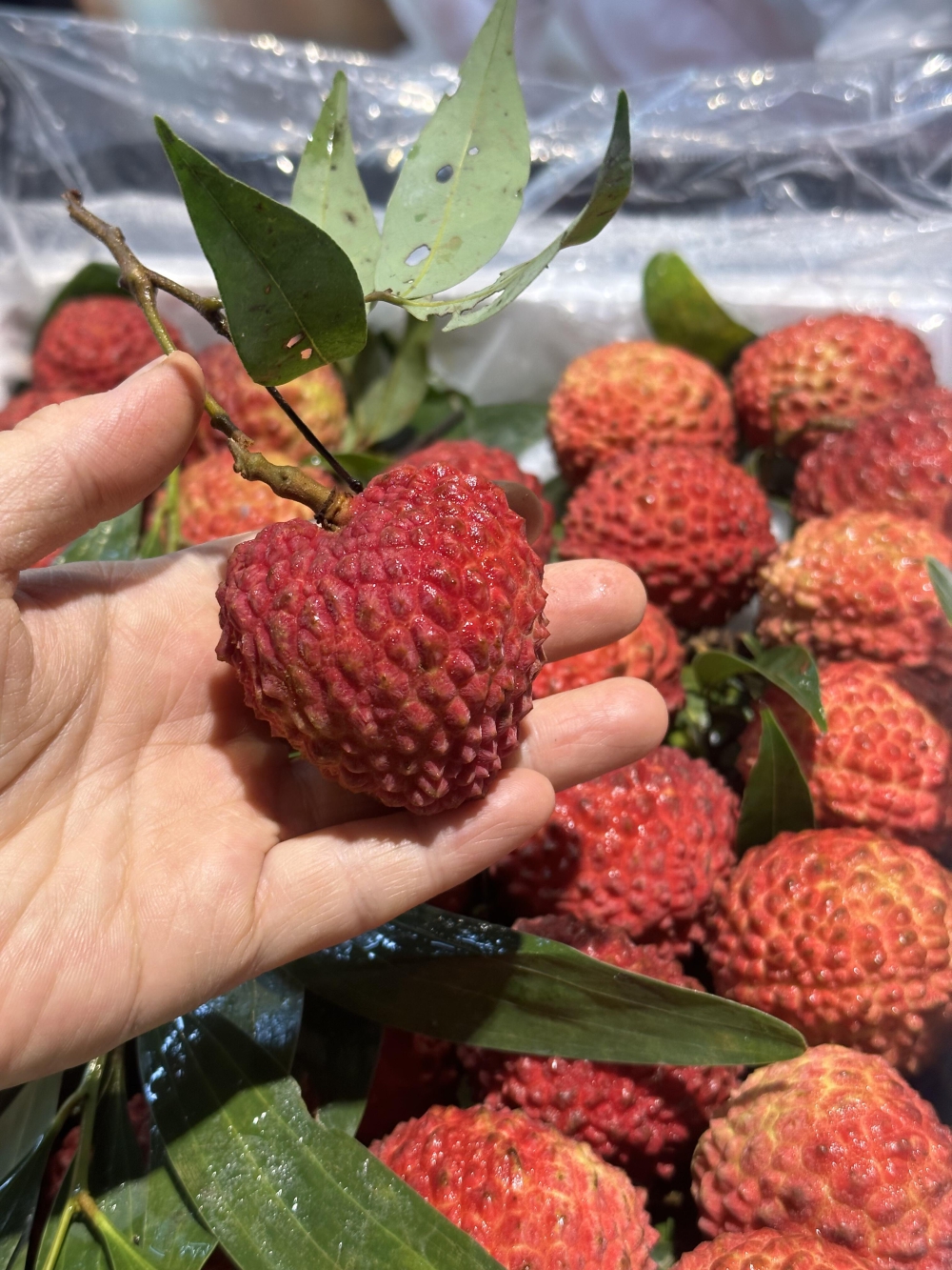 【今日份甜度已到货】🍎 🍇 🍑 水果摊是 配图2