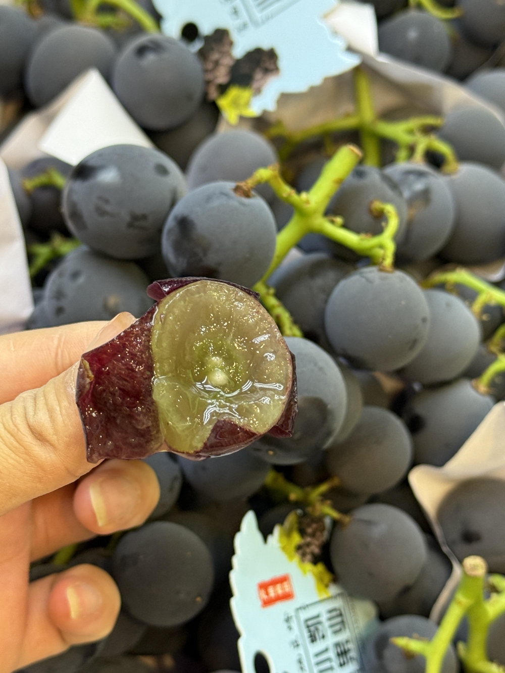 紫水晶般的果串沉甸甸挂满枝🍇，轻轻一捏就 配图1