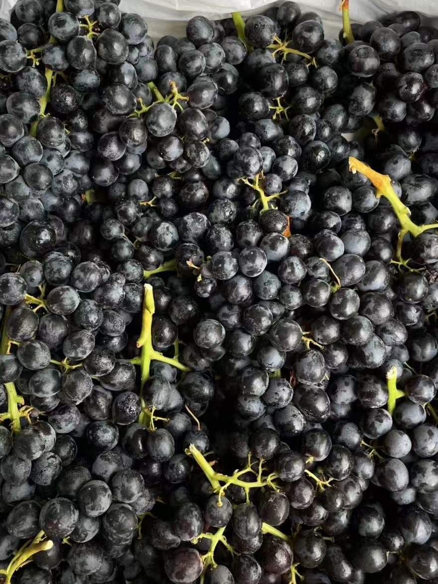 🍇玫瑰香葡萄浪漫上线 咬一口清甜带花香， 配图2