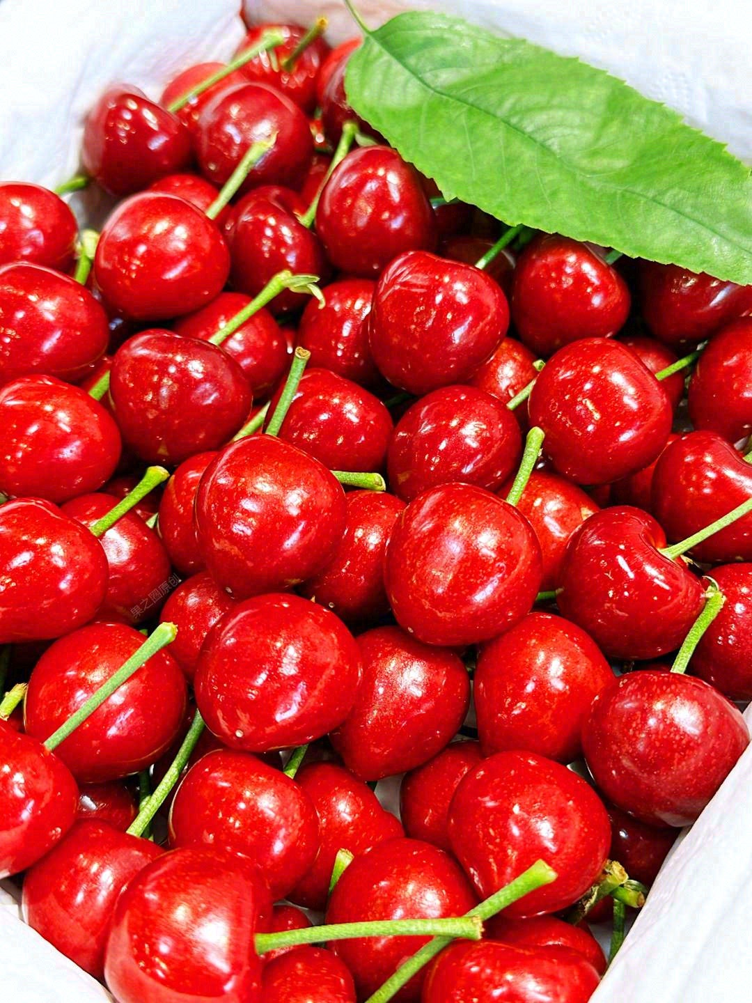 脆甜可口的第一好吃的🍀美早樱桃🍒 只为懂 配图2