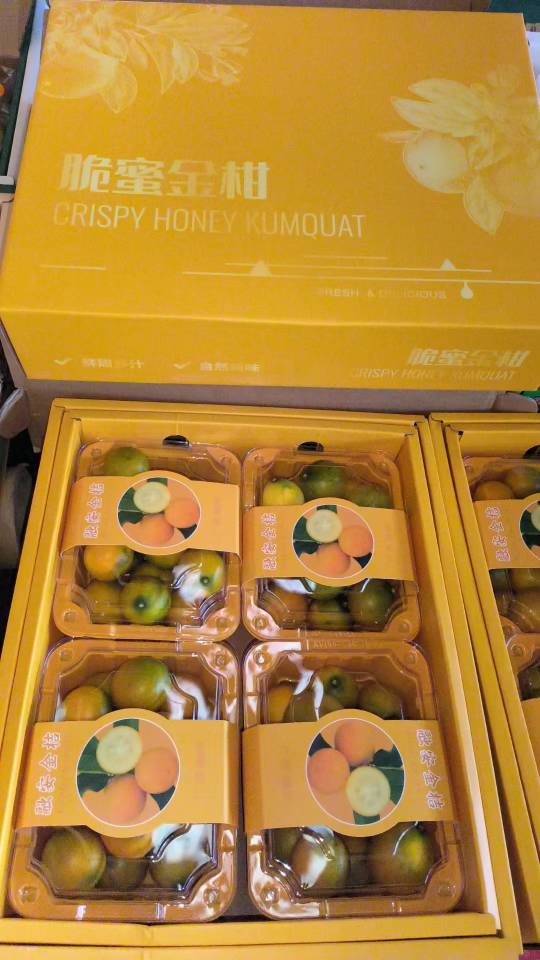 到货【脆密金桔🍊】 巨好吃😋秋—冬必吃甜 配图2