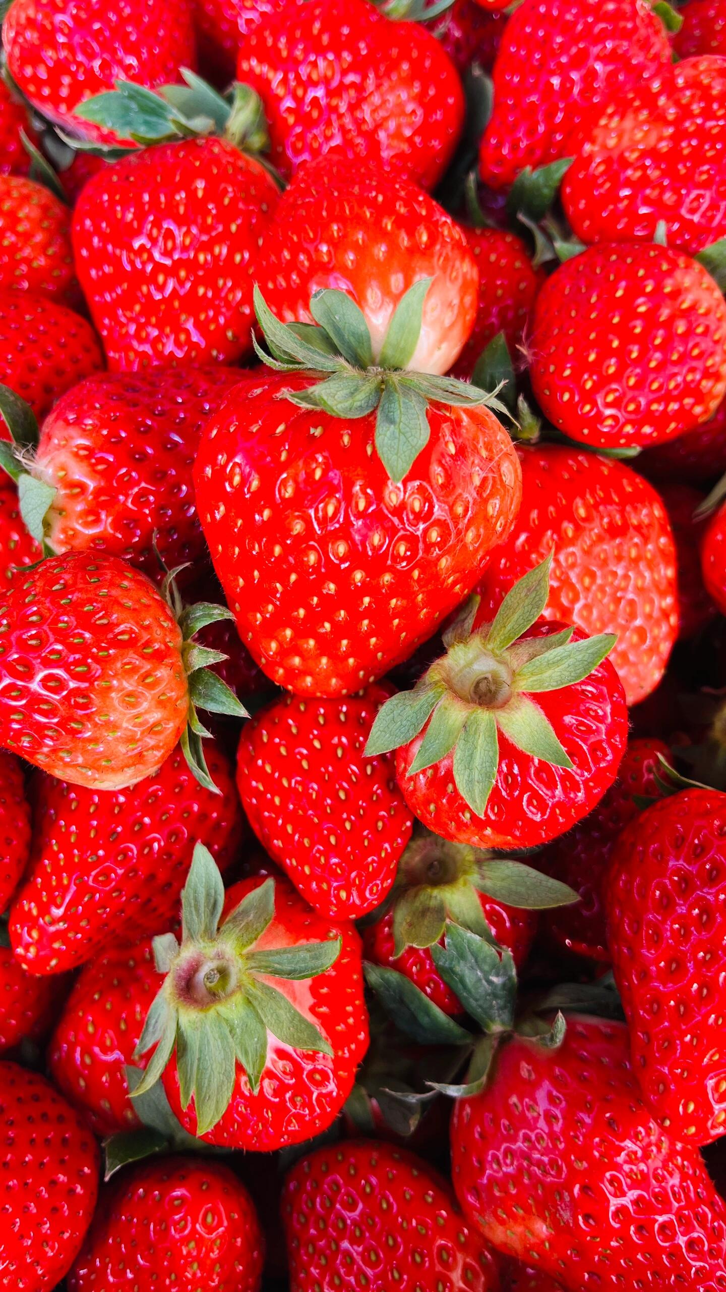 一颗颗草莓🍓俏皮可爱、红润饱满，一口咬下 配图1