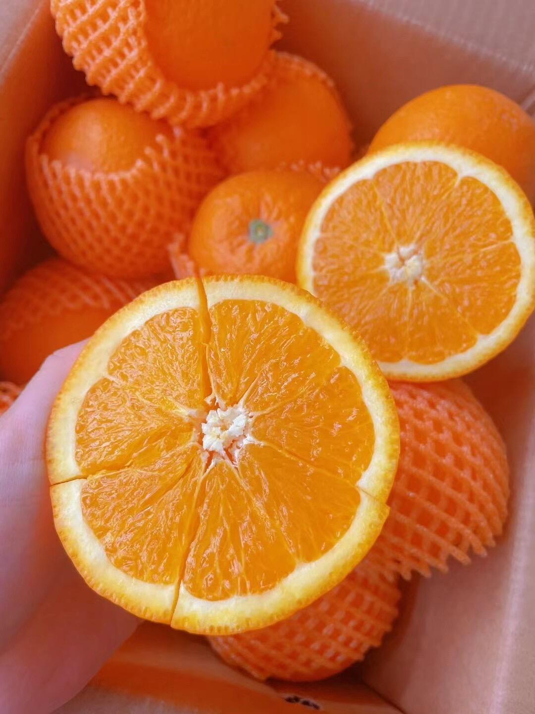 伦晚脐橙 ☘新鲜是看得见的😍😍 🍊 伦晚 配图1