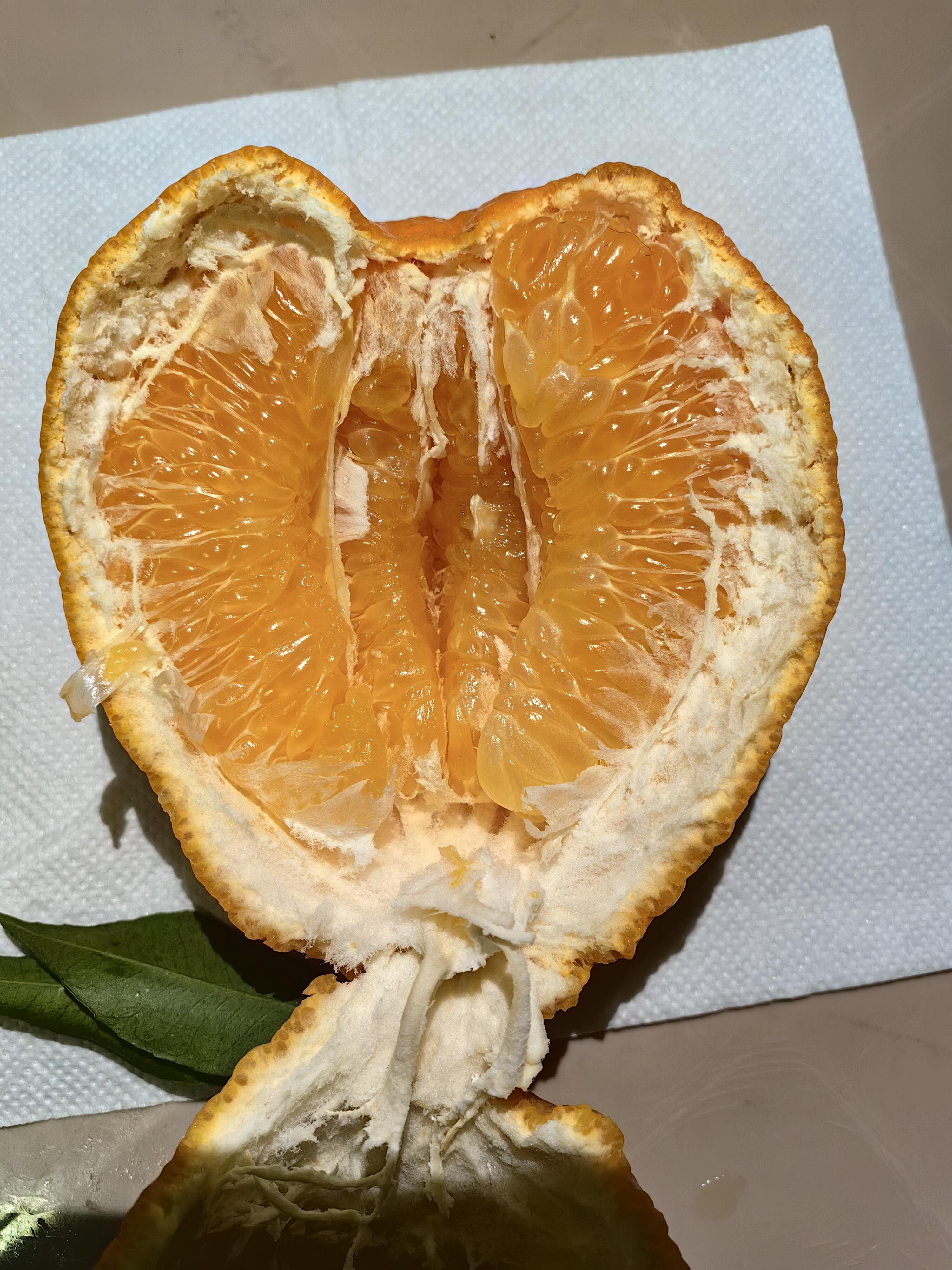🍊 春见耙耙柑正当红！ 果皮软软一剥就开 配图3