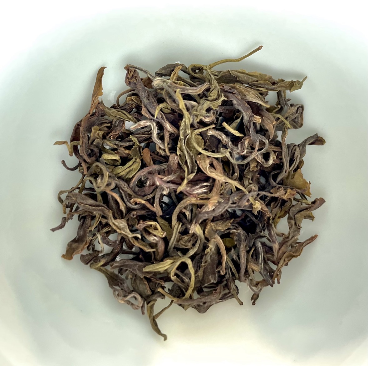 马年启新，以茶为礼。蒙顶黄小茶，温润迎新 配图1