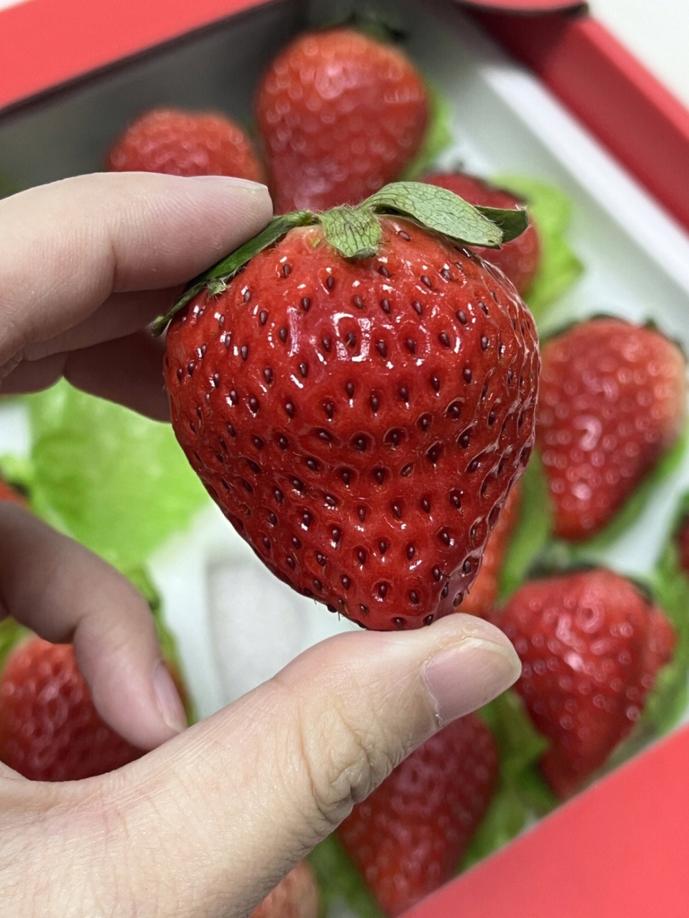 丹东草莓🍓一打开包装草莓的清甜混着奶香味 配图2