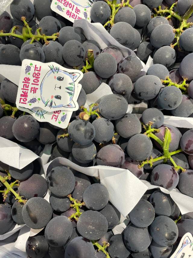 🍇 多肉的巨峰葡萄🍇 😍口感Q嫩，果肉水 配图2