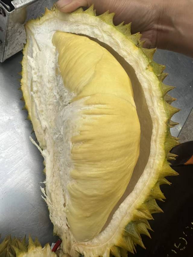 【💕泰国🇹🇭金枕头榴莲】 果肉嫩黄肥厚， 配图2