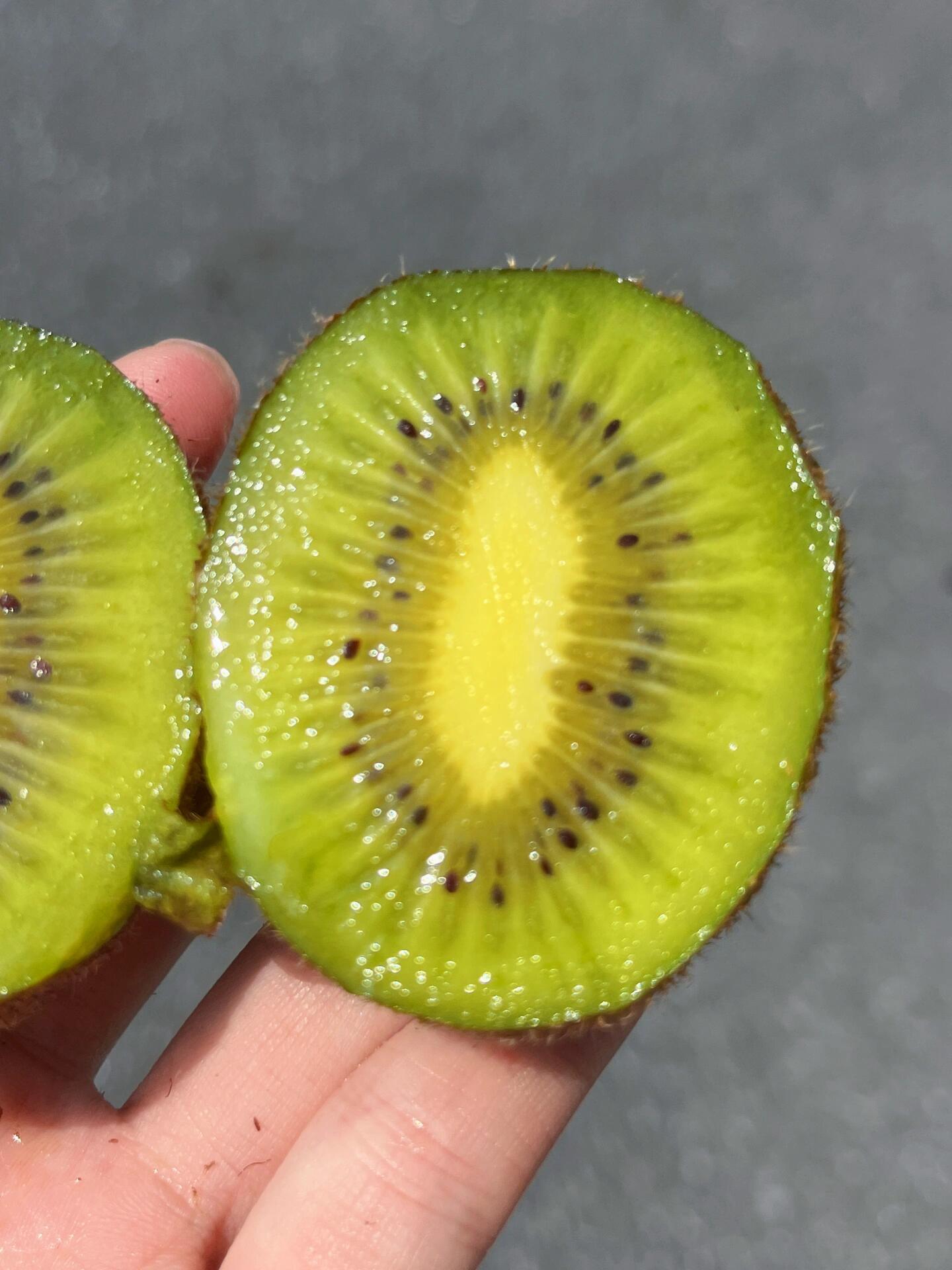 ☀️来自阳光海岸的新西兰🇳🇿佳沛🥝 “维 配图2