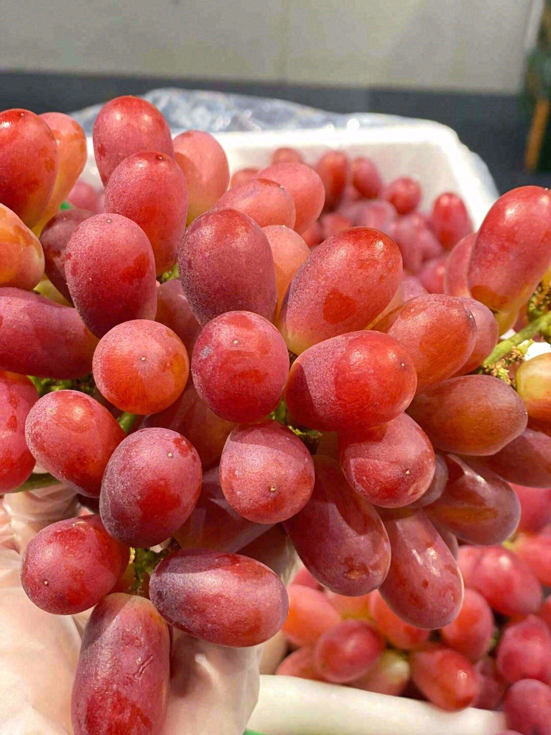 有点过分优秀的无籽红提🍇 想自己全部霸占 配图1