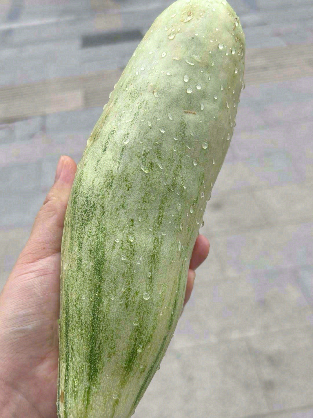 酥甜酥甜的羊角蜜🥒，一口气一个瓜超甜过瘾 配图3