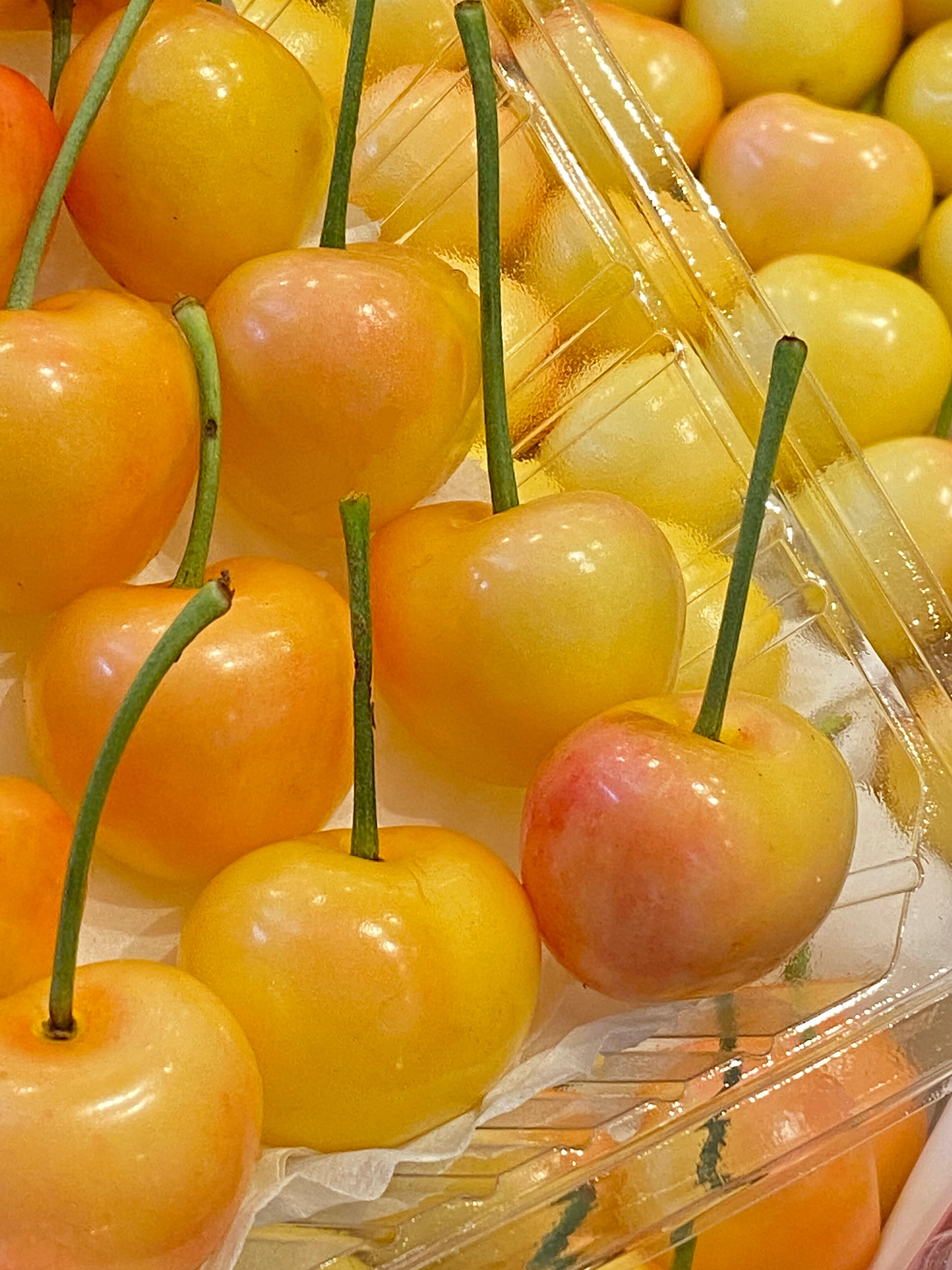 新品推荐→黄蜜水晶樱桃🍒 一颗入口👄满是 配图1