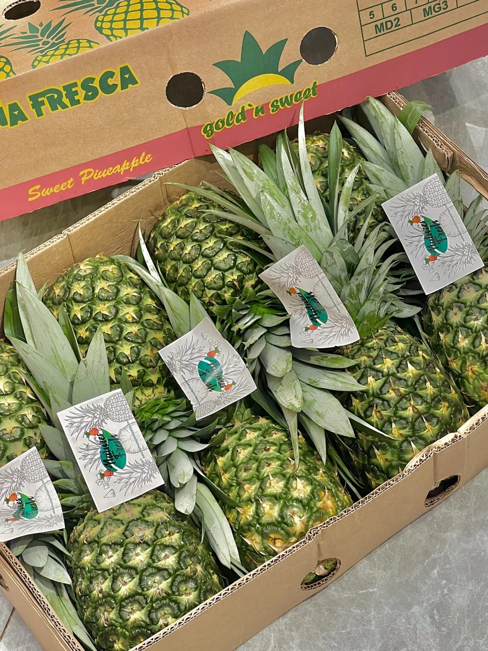 无需泡盐水，每一口都甜🍍 菲律宾🇵🇭特大 配图3