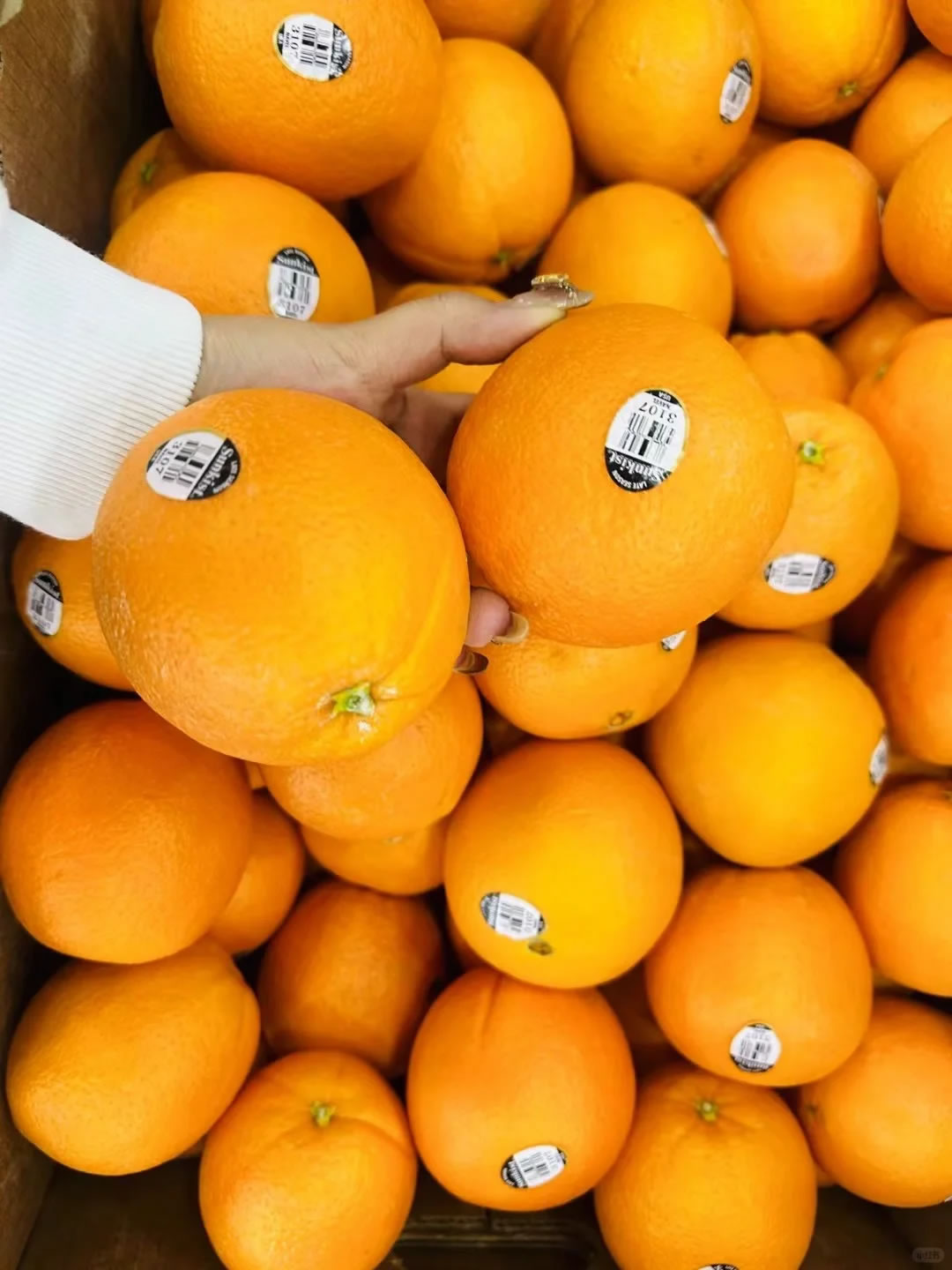 【正宗美国新奇士3107黑标橙】 🍊！橙 配图3