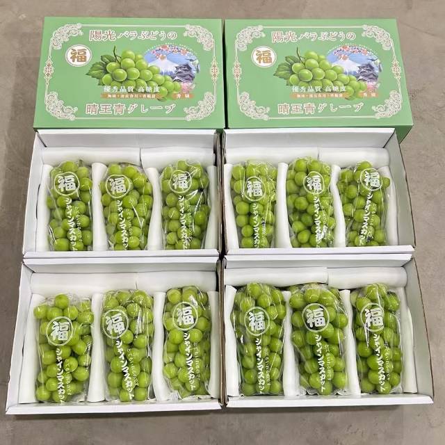 福牌阳光香印青提🍇 优秀的品质，高糖度无 配图2