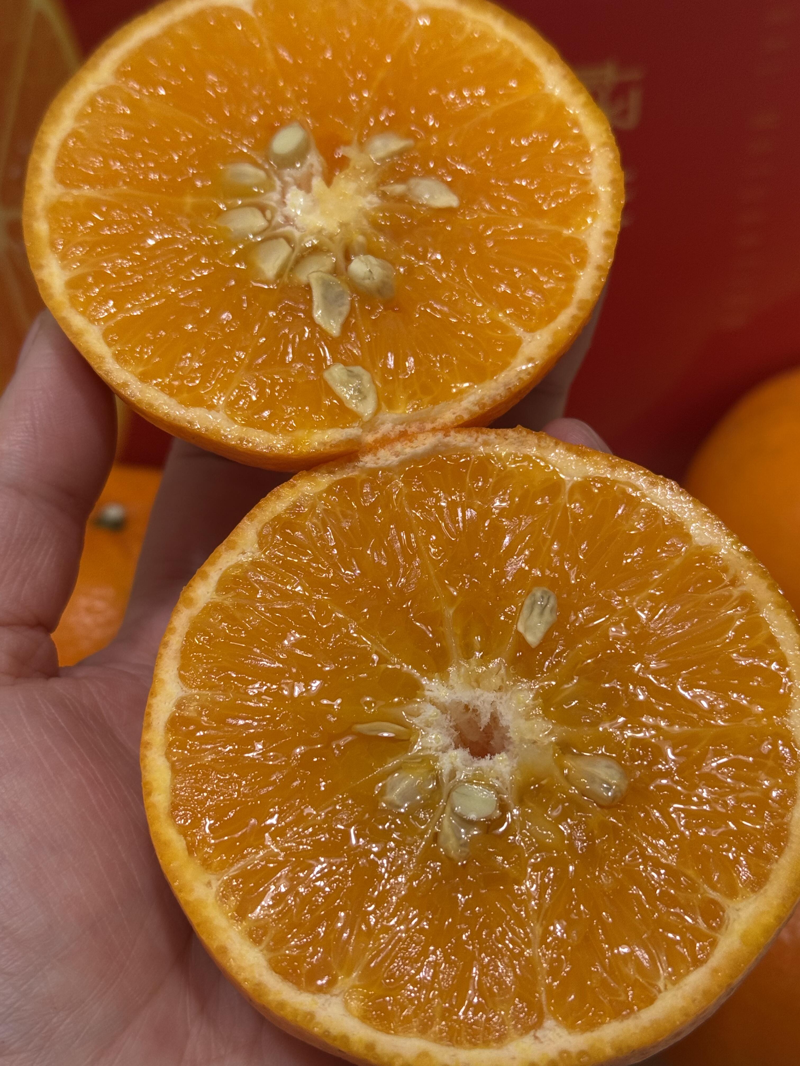 🙋超多回头客的沃柑🍊 阳光、温度、土壤、 配图2
