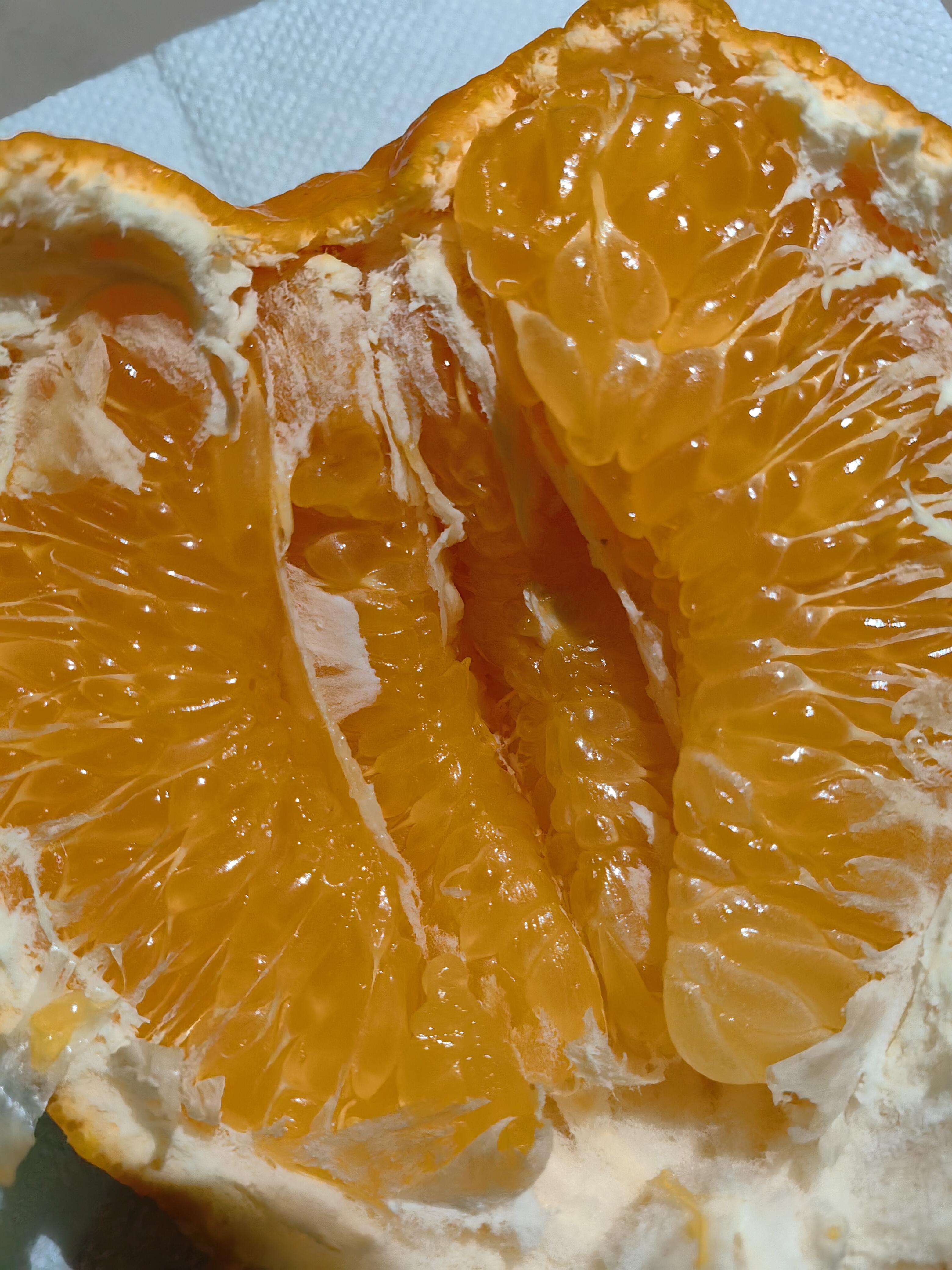 🍊 春见耙耙柑正当红！ 果皮软软一剥就开 配图1