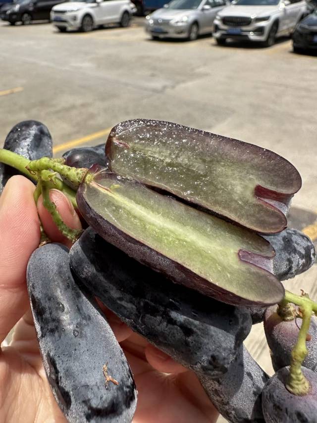 🇦🇺澳洲金手指黑提🍇 外形像萌萌的小茄子 配图2