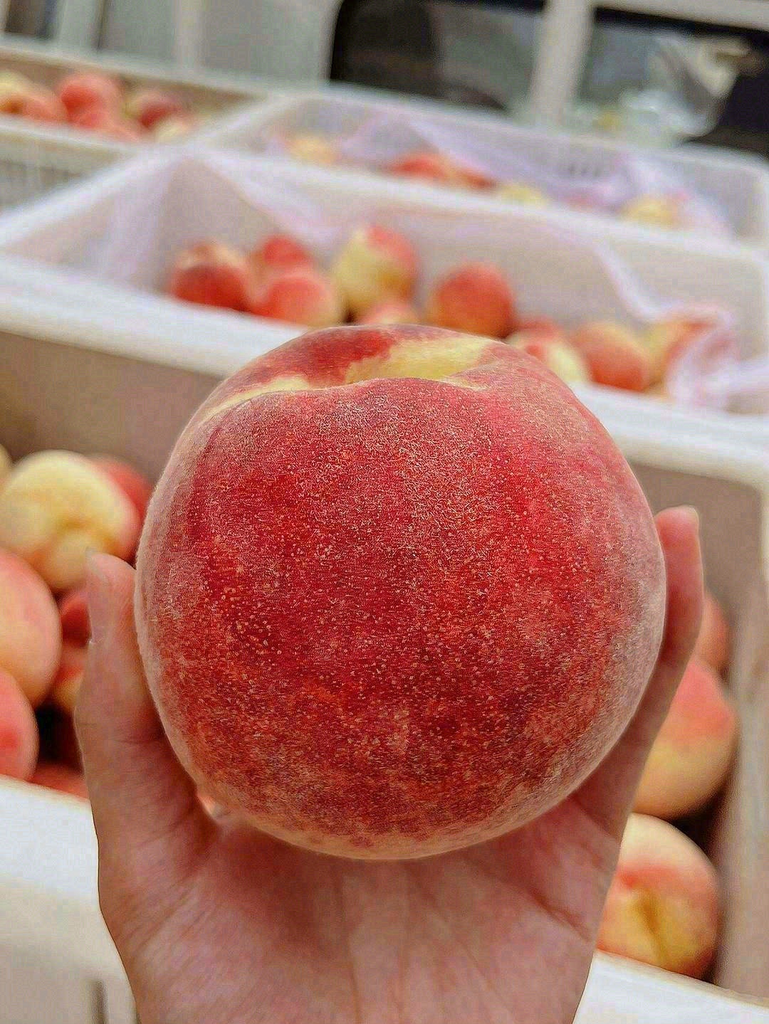 😊白里透红的桃子像刚出生婴儿的皮肤🍑粉嘟 配图1