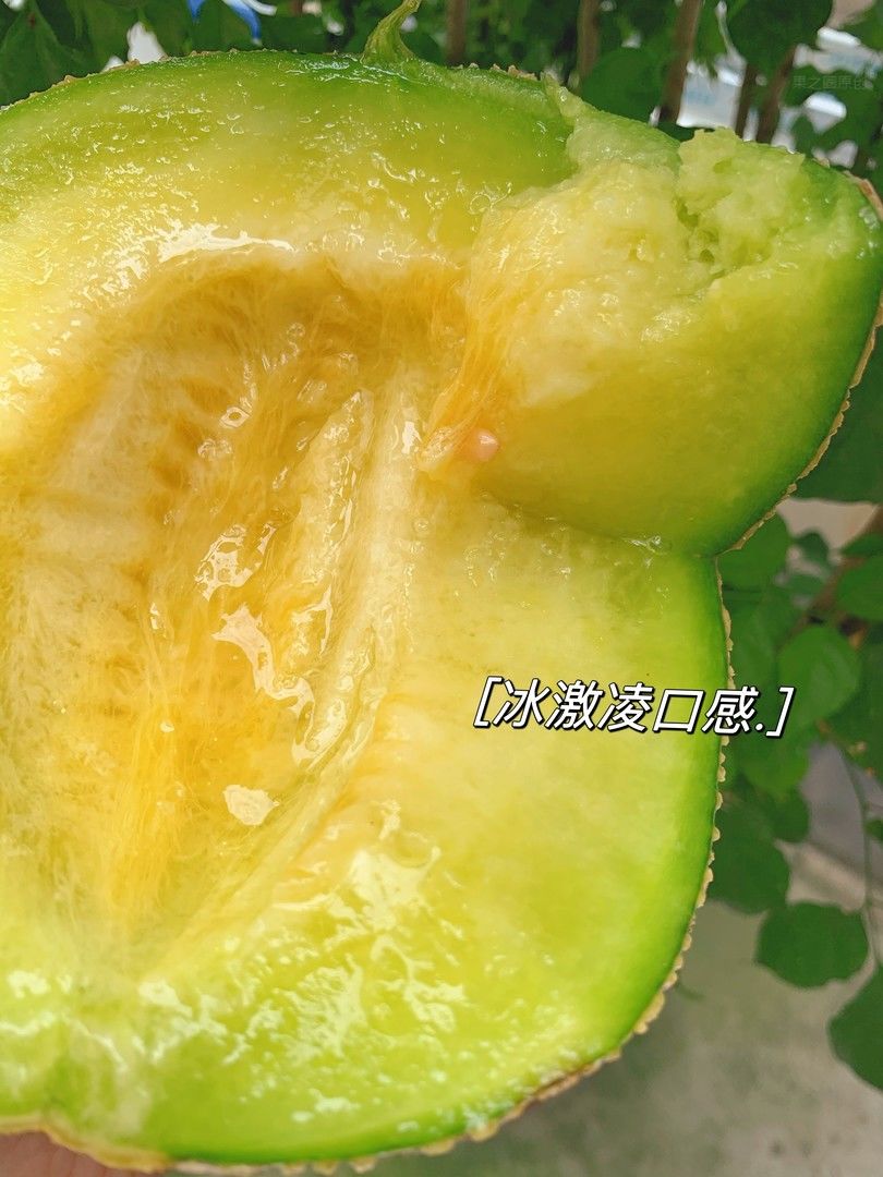 👉只要你吃过这颗网纹瓜，都会感叹于它的🍦 配图3
