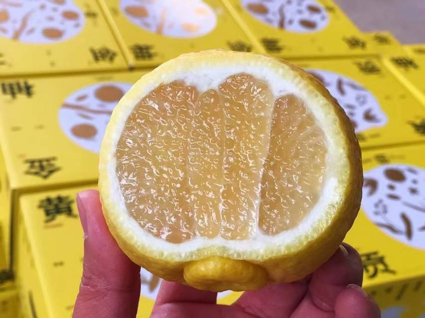黄金贡柚🍊礼盒到货！ 色泽浅黄，闻起来有 配图1
