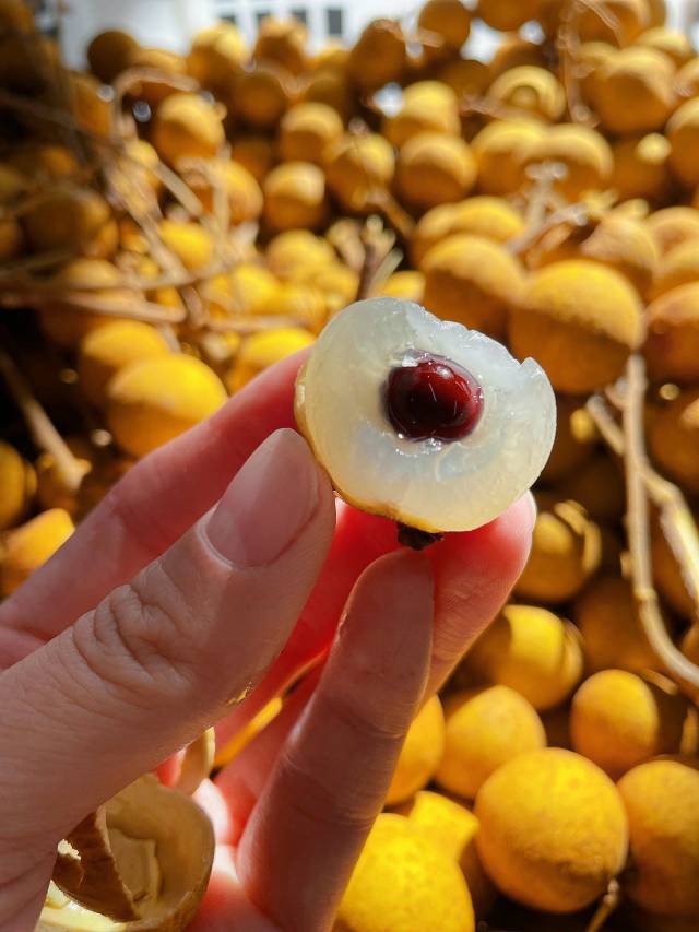 美味推荐👉新鲜龙眼😍 🌕朴实的金黄“外衣 配图1