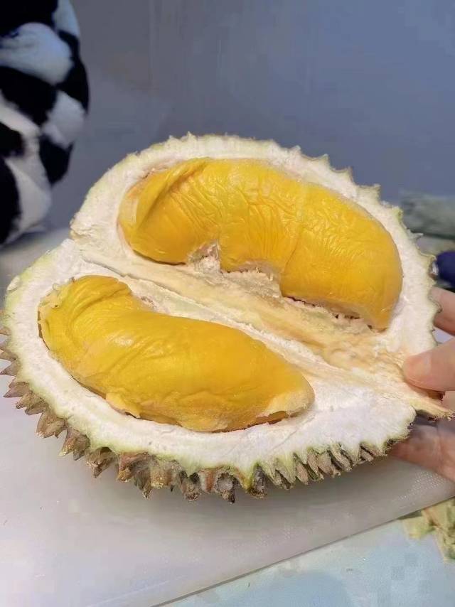 🇲🇾猫山王榴莲 此生不食猫山王，尝遍榴莲 配图2