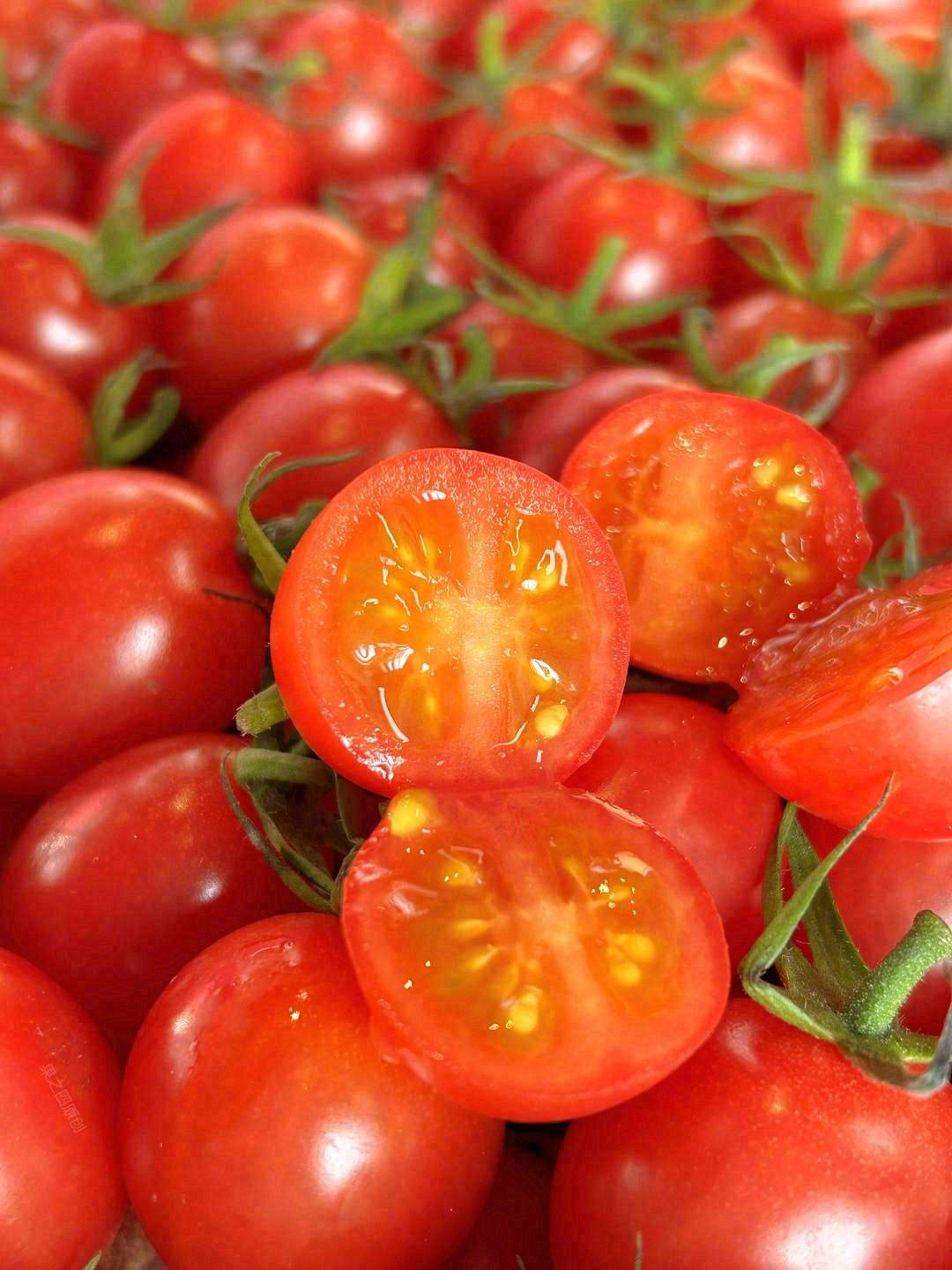 这个秋天，没你不行！ 🍅玲珑小番茄，❤番 配图2
