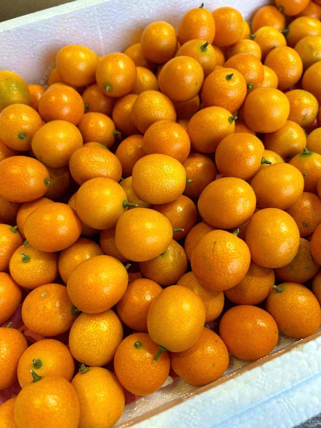 💦不苦也不涩，果肉水嫩🍊，吃皮也没有呛人 配图3