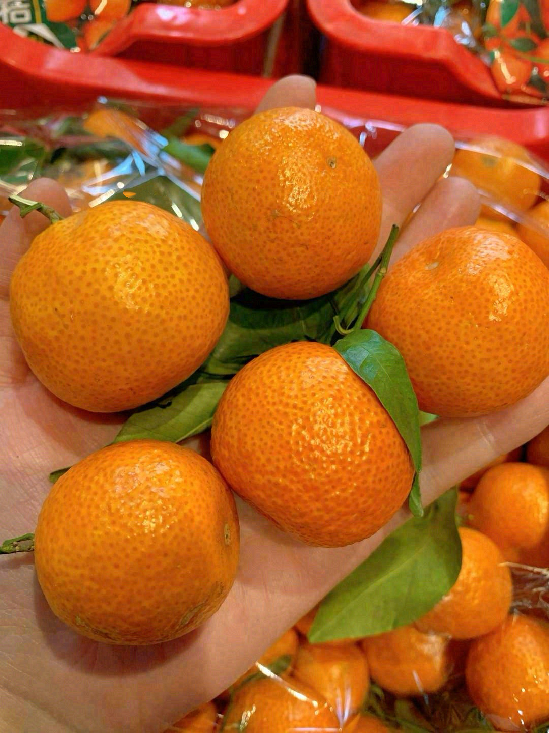 正宗沙糖桔🍊 好吃纯甜不涩口！一点儿酸都 配图3