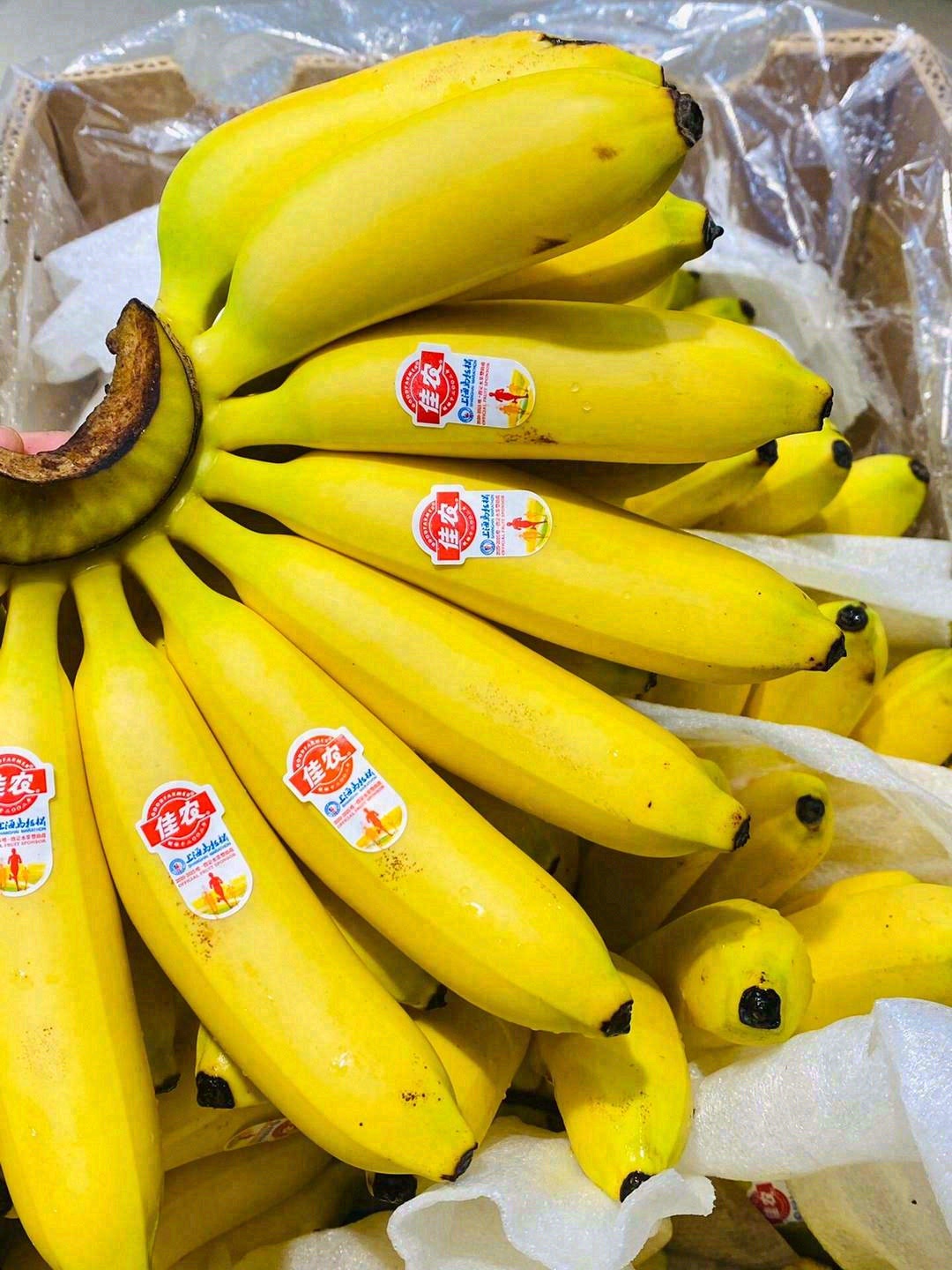 今日份的小可爱——Baby皇帝蕉🍌 一口 配图3