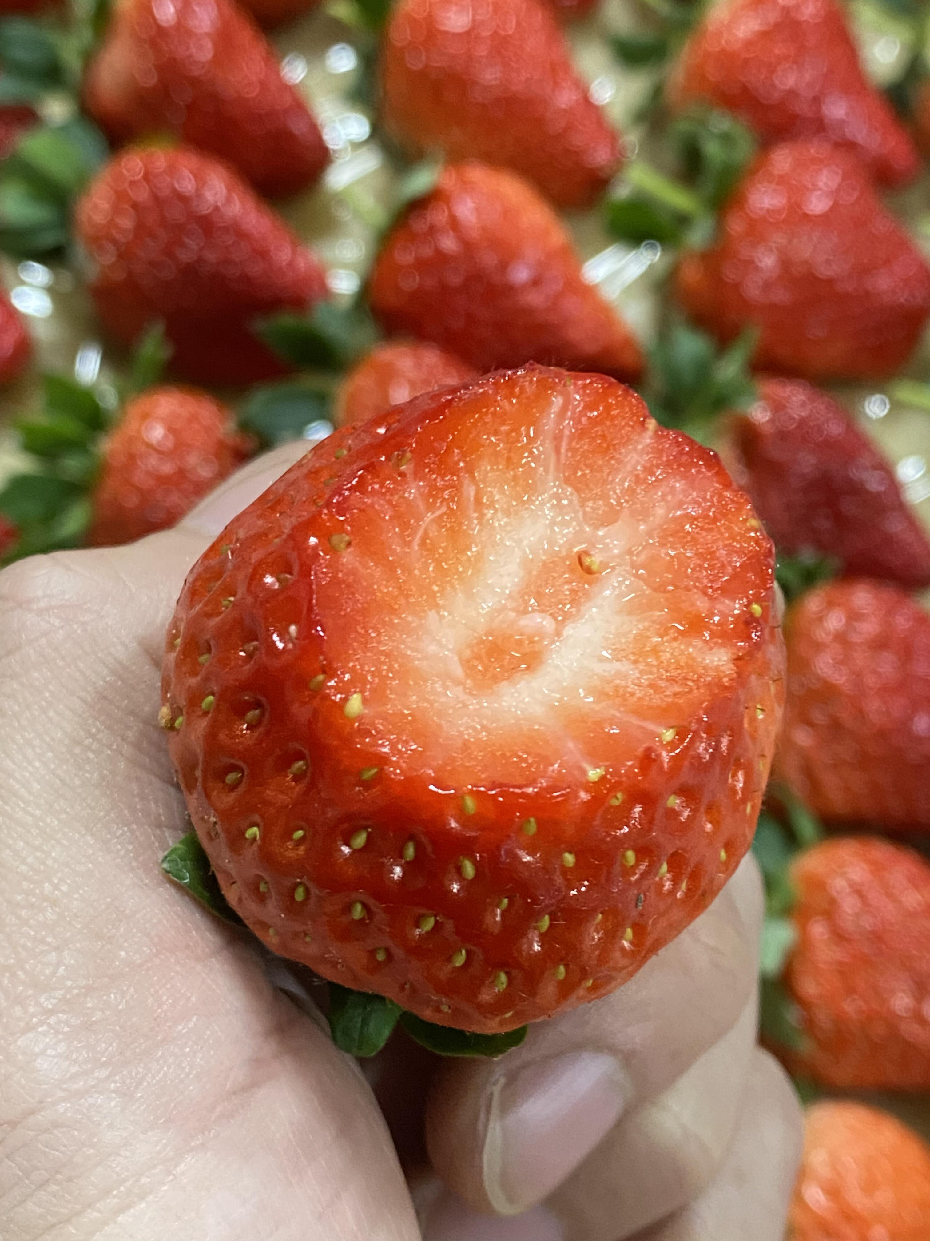 🍓红彤彤的丹东草莓✨ 甜丝丝的香味，凑近 配图2