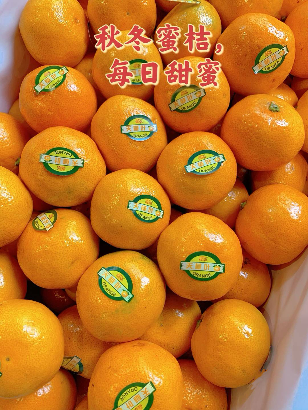 🍀秋天到了，橘子党是最高兴的 皮薄、肉甜 配图3