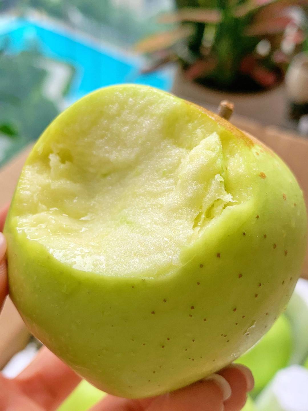 🍏【澳洲青苹爽脆来袭啦‼️】 果肉紧实多 配图2