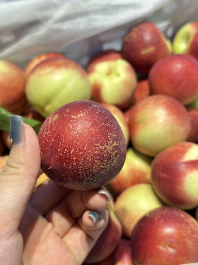 🍑 珍珠枣油桃来咯👏 超诱人的夏日鲜选‼ 配图2