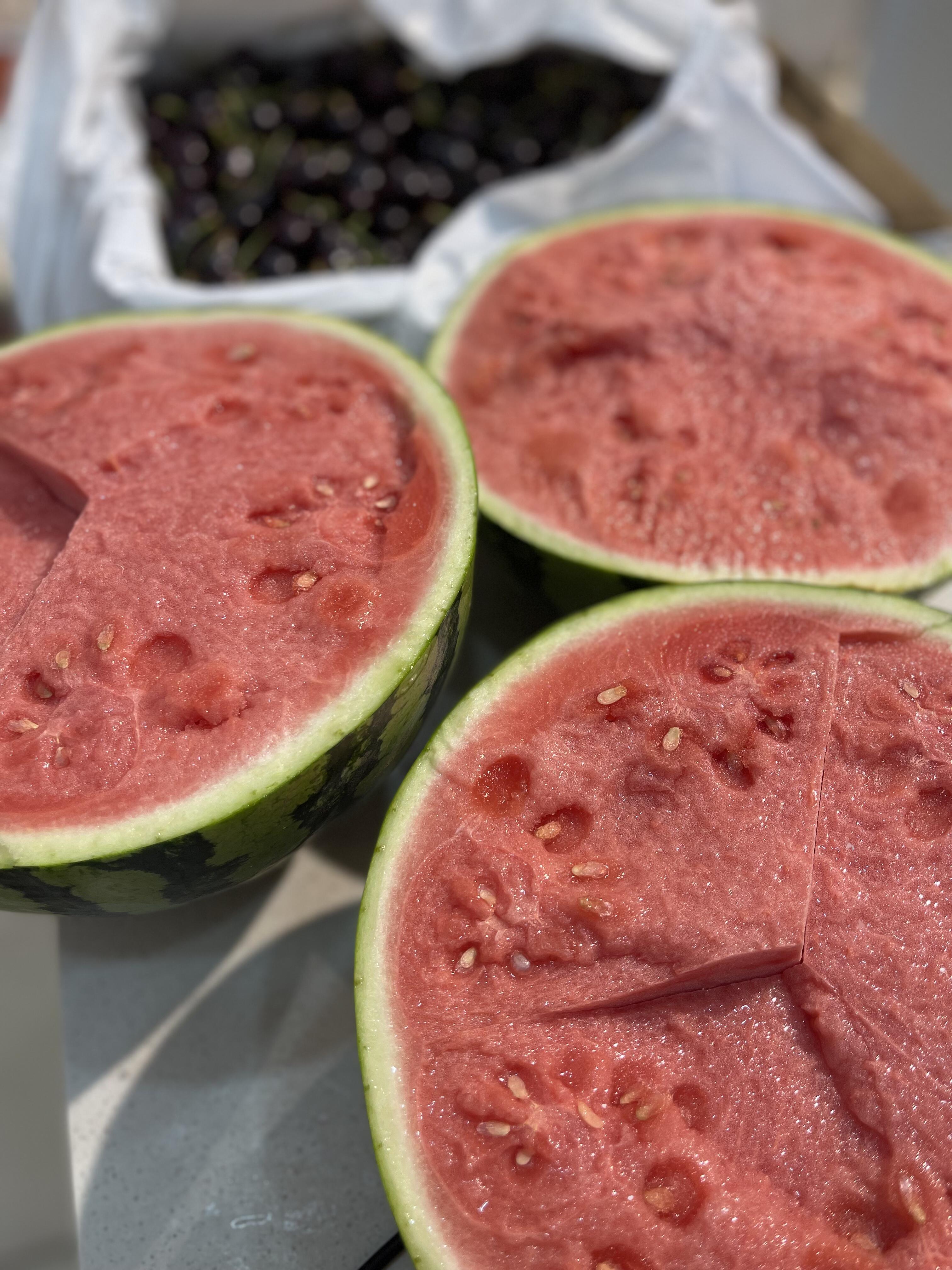 爆品推荐👍无籽麒麟瓜🍉 世界想去就去，西 配图1