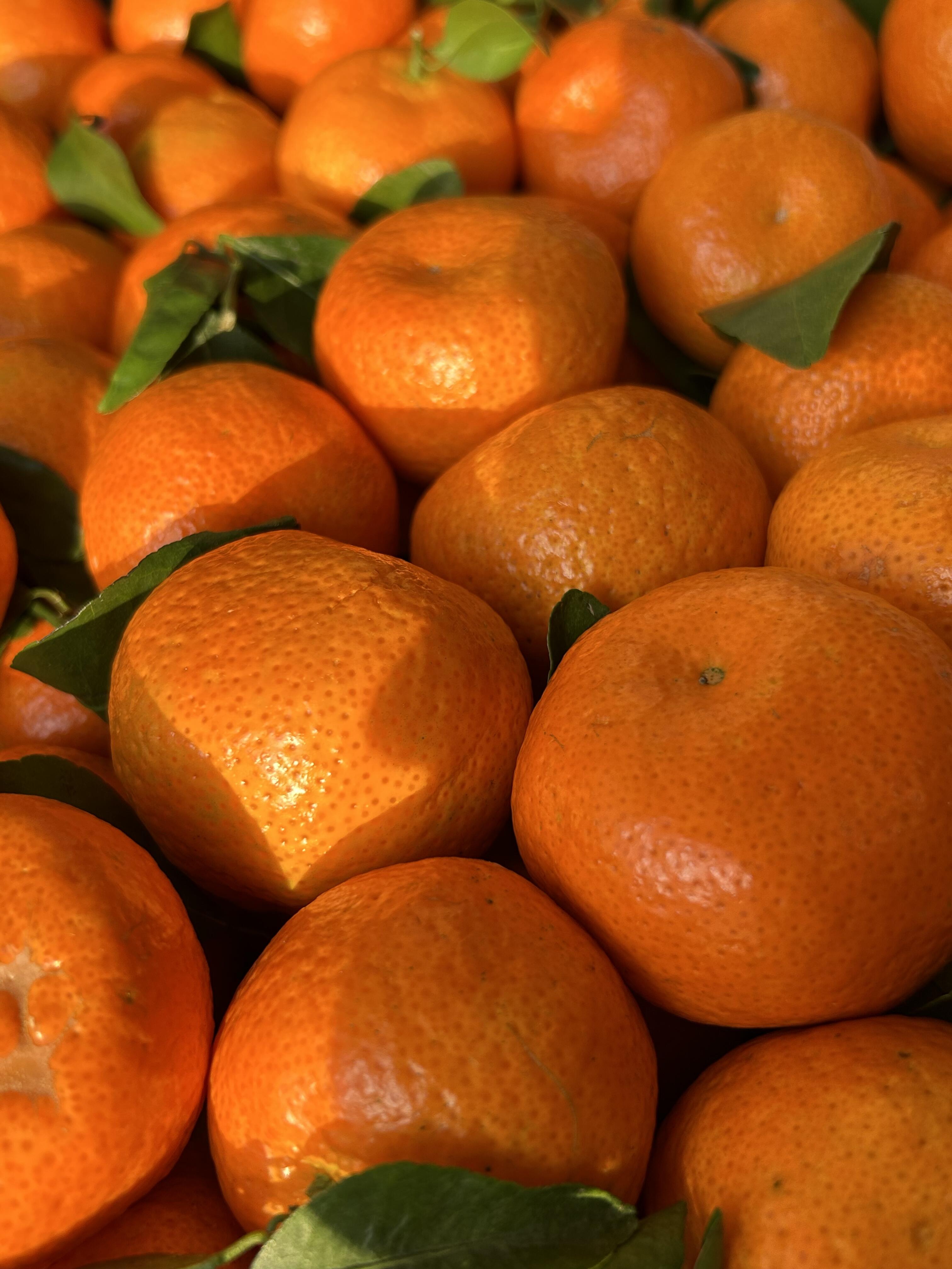 🍊 砂糖桔来啦！🍊 个头小巧皮薄肉满～一 配图3