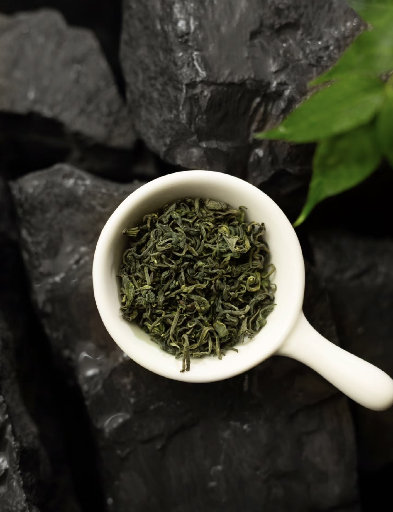 崂山绿茶，源自山海之间，独特风味。叶片嫩 配图2