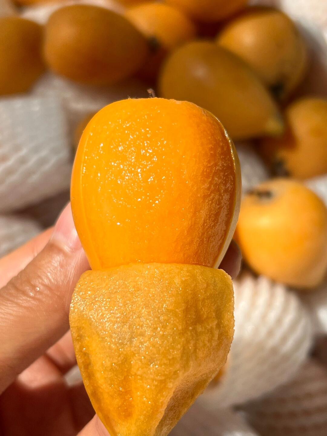枇杷，是初冬的味道🧡 快去抢占这第一口甜 配图3