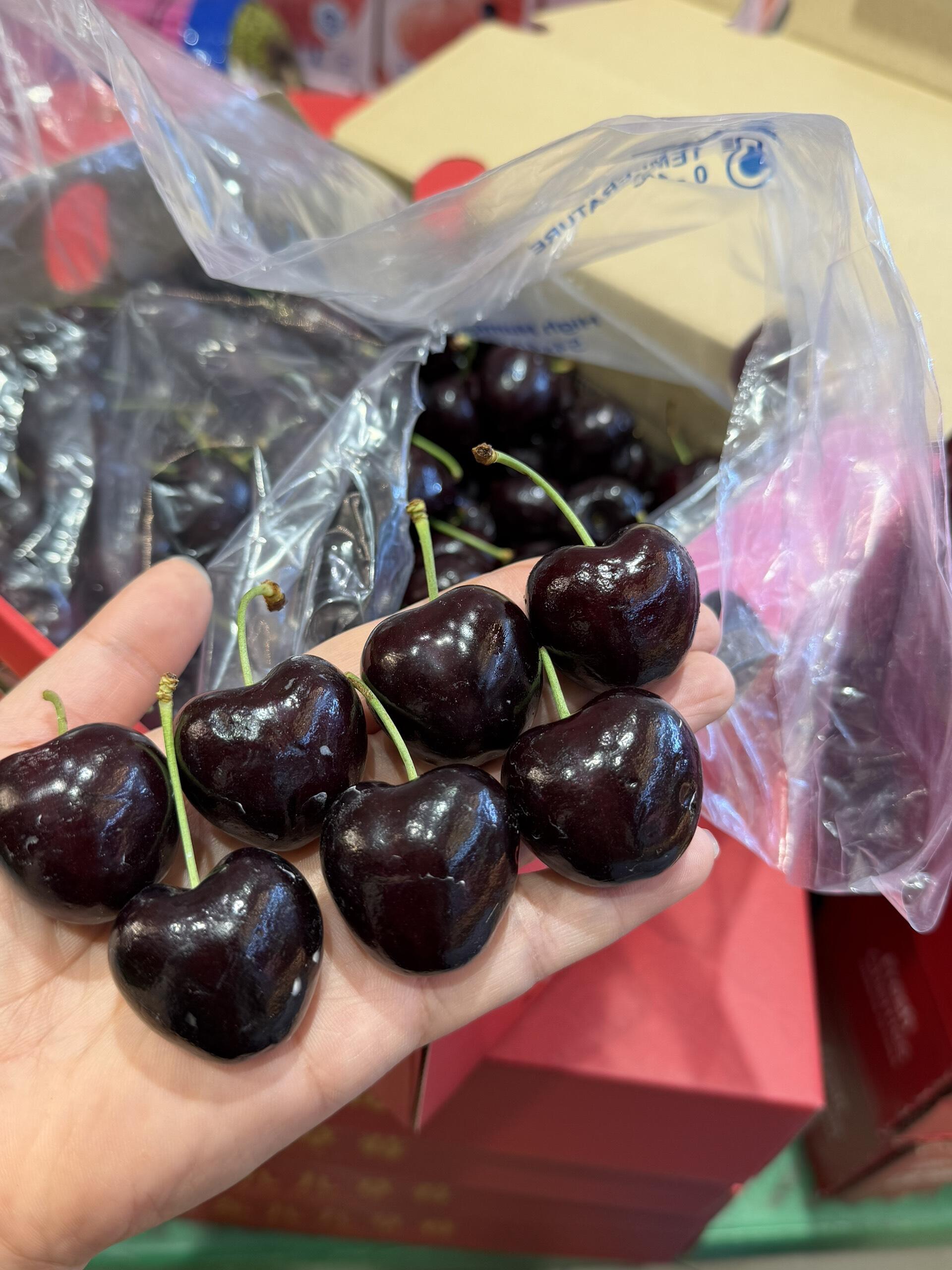空运桑提娜车厘子除了品质💎，我没什么能给 配图2
