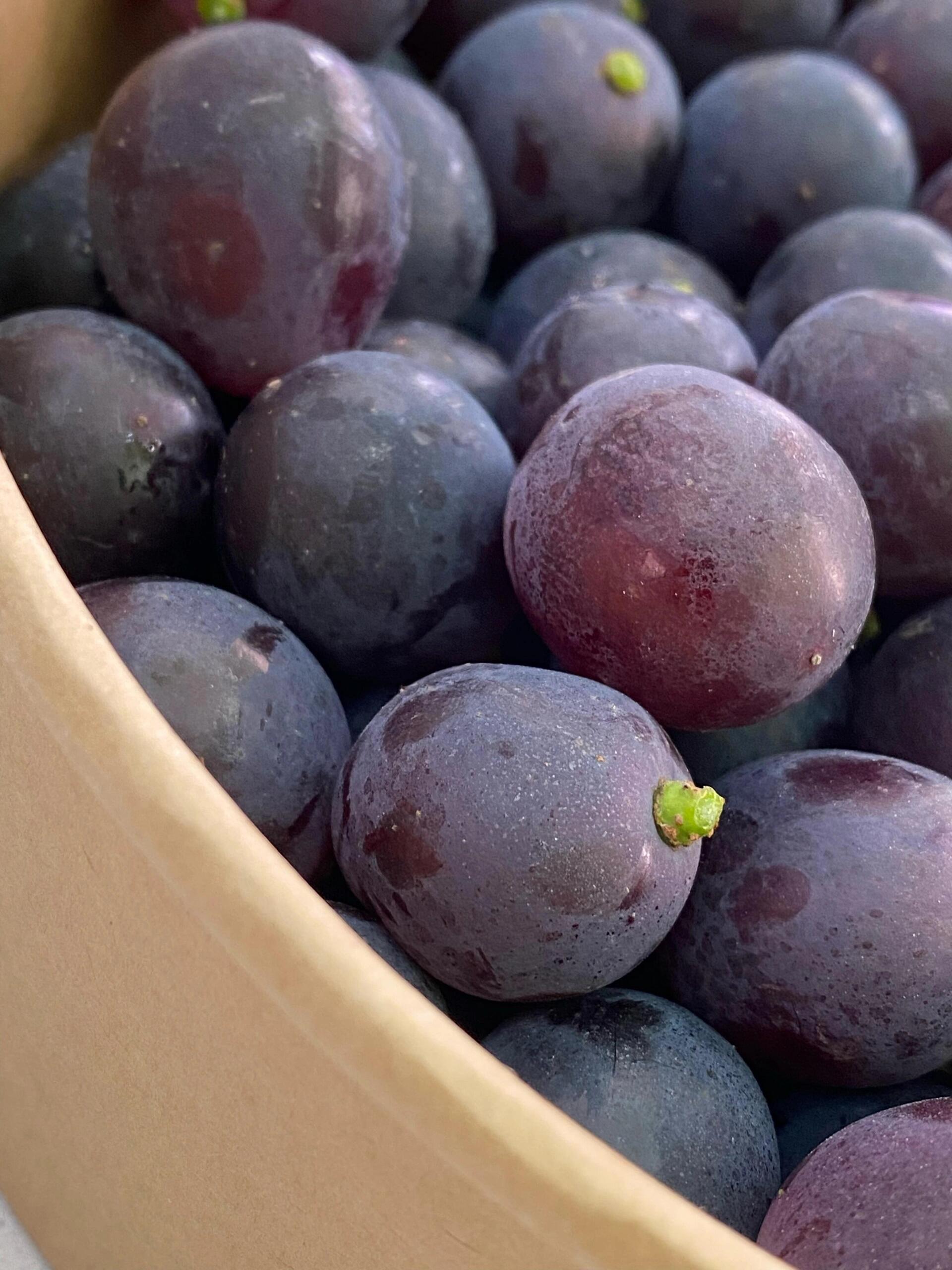 🍇巨峰葡萄来袭！ 颗颗饱满圆润，汁水多到 配图1