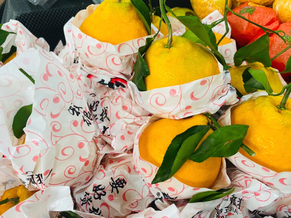 金狐狸粑粑柑届的王牌来咯～ 🎉上嘉金狐狸 配图2
