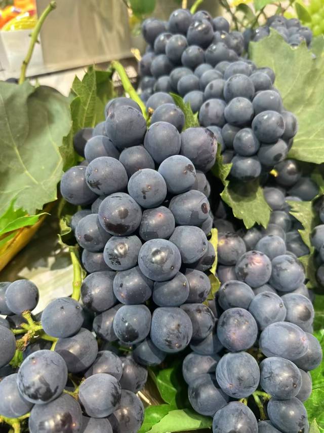 🔥卖爆了的的蓝莓葡萄到货🍇 满满的自然果 配图2