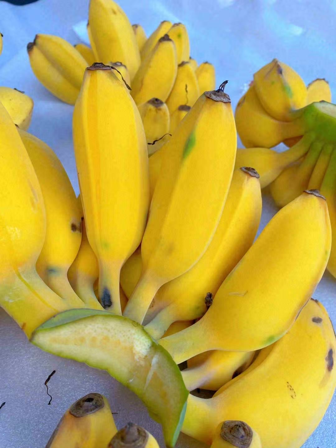 🌟吃腻了其他香蕉，不妨试一试这个苹果蕉🍌 配图1