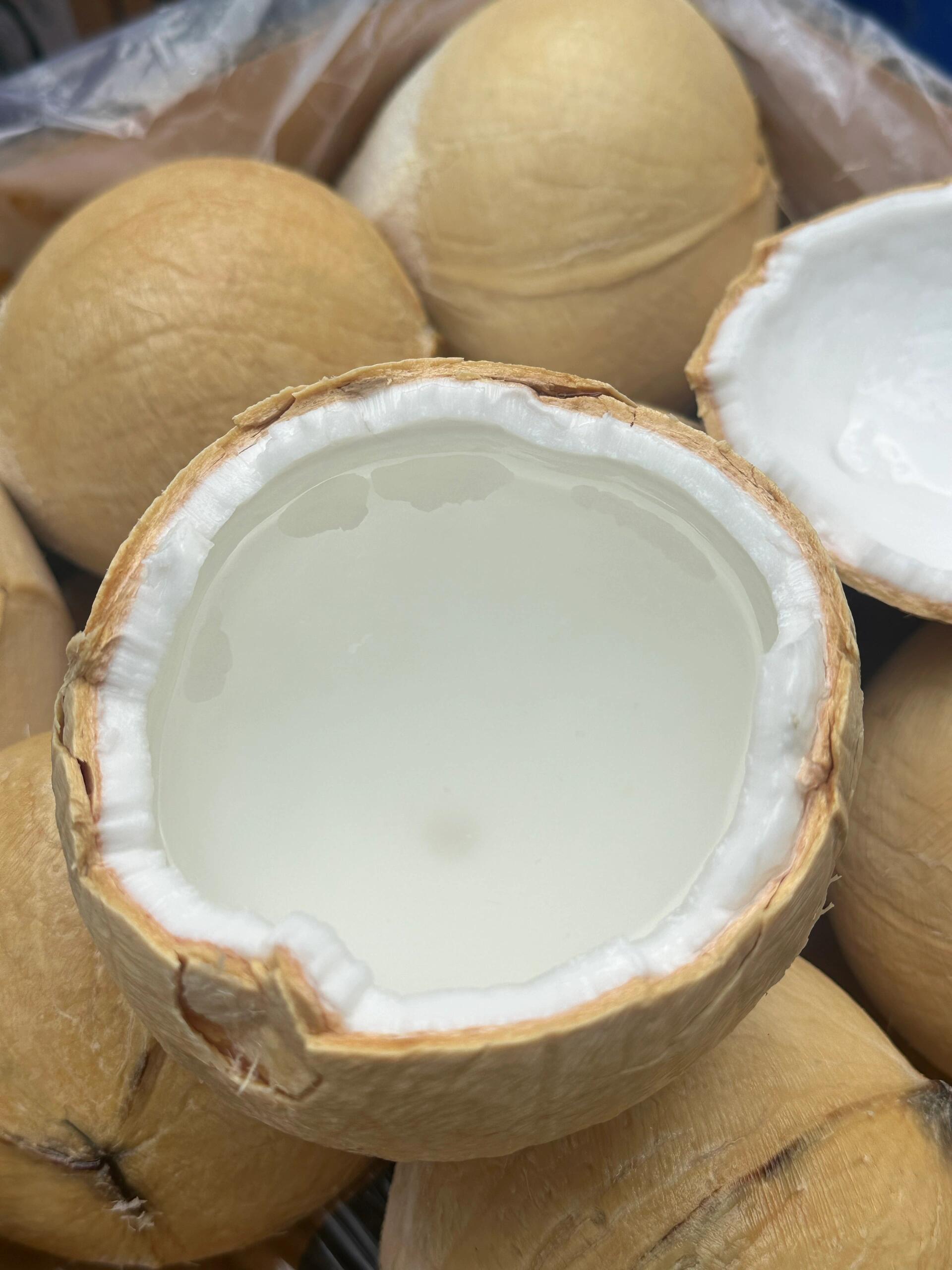 🥥 椰皇！ 小小个超可爱🥥 敲开椰香四溢 配图1